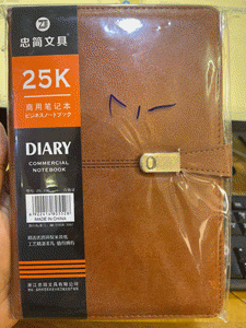 دفتر ملاحظات جلد طباقية DIARY 25K 25-196